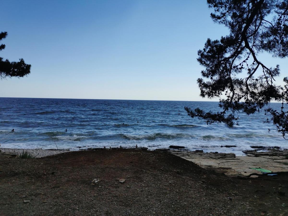 Resort Zatisje サヴドリア エクステリア 写真